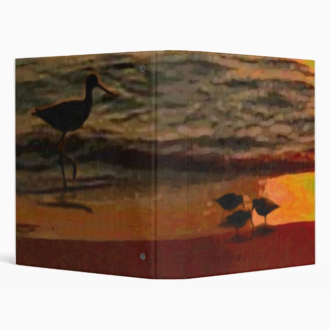 Shorebirds Binder (Background)