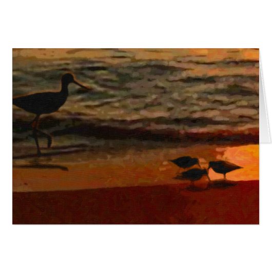 Shorebirds Cards (Front Horizontal)