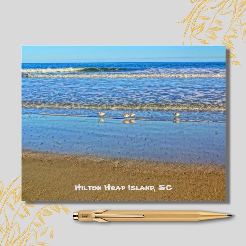 Shorebirds In The Surf Hilton Head Island SC Postcard