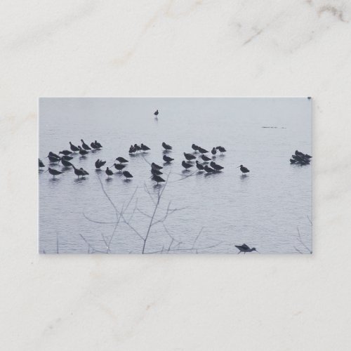 shorebirds on a lake business card