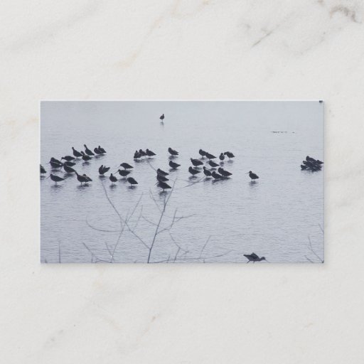 Customizable shorebirds on a lake business card