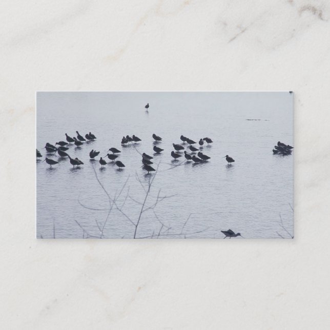 shorebirds on a lake business card (Front)