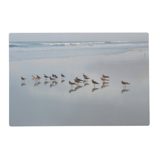 Shorebirds Placemat (Front)