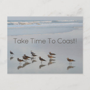 Shorebirds With Coast Comment Postcard