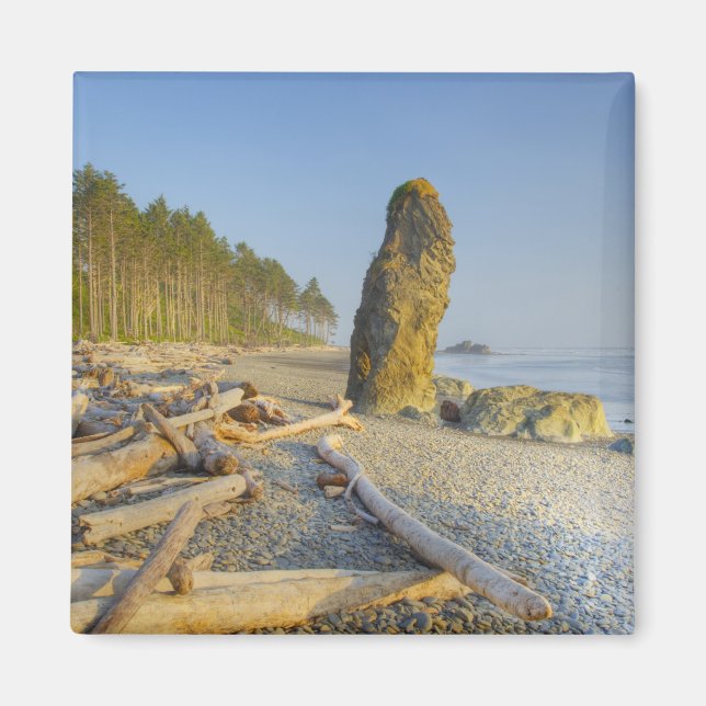 Shoreline and Seastacks, Ruby Beach, Olympic Magnet (Front)