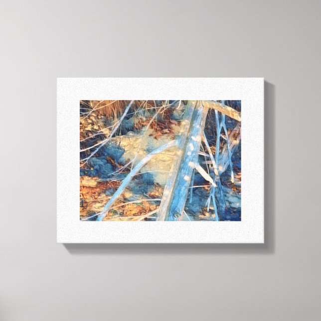 Shoreline Driftwood Photo Print (Front)