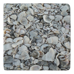 Shoreline Shells Stone Pattern Trivet