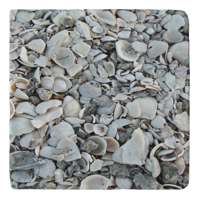 Shoreline Shells Stone Pattern Trivet (Front)