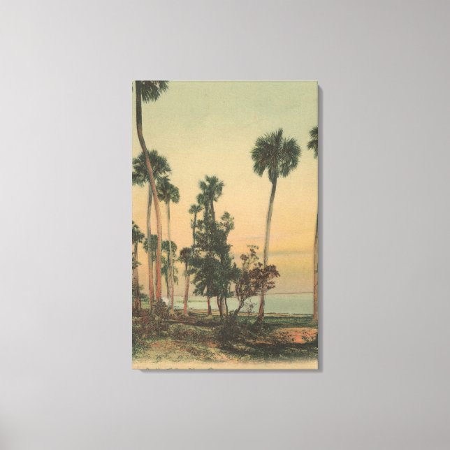 Shoreline view of Indian River with Palm Trees Canvas Print (Front)