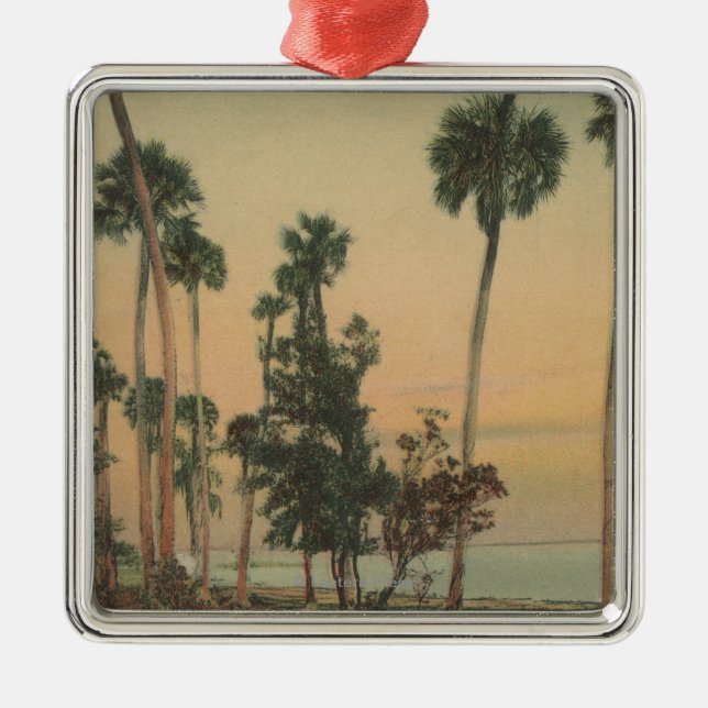 Shoreline view of Indian River with Palm Trees Metal Ornament (Front)