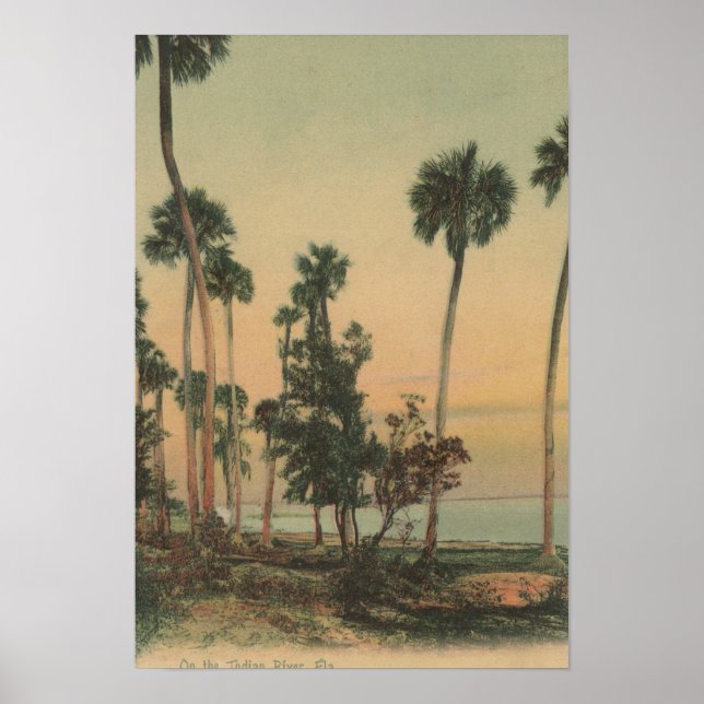 Shoreline view of Indian River with Palm Trees Poster (Front)