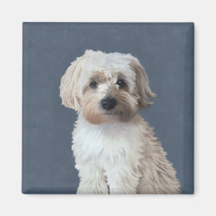 Shorkie dog pet portrait magnet