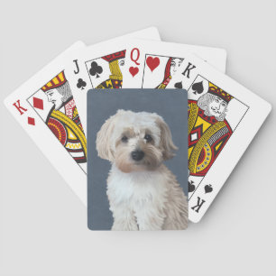 Shorkie dog pet portrait poker cards