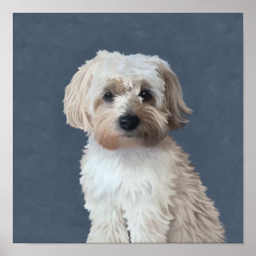 Shorkie dog pet portrait  poster