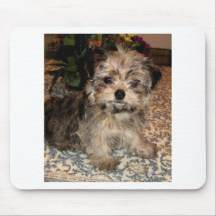 Shorkie Puppy Mouse Pad