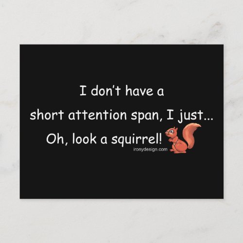 Short Attention Span Squirrel Black Postcard