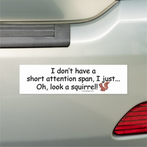 Short Attention Span Squirrel Car Magnet