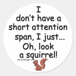 Short Attention Span Squirrel Classic Round Sticker