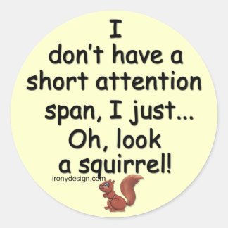 Short Attention Span Squirrel Classic Round Sticker