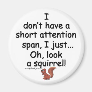 Short Attention Span Squirrel Magnet