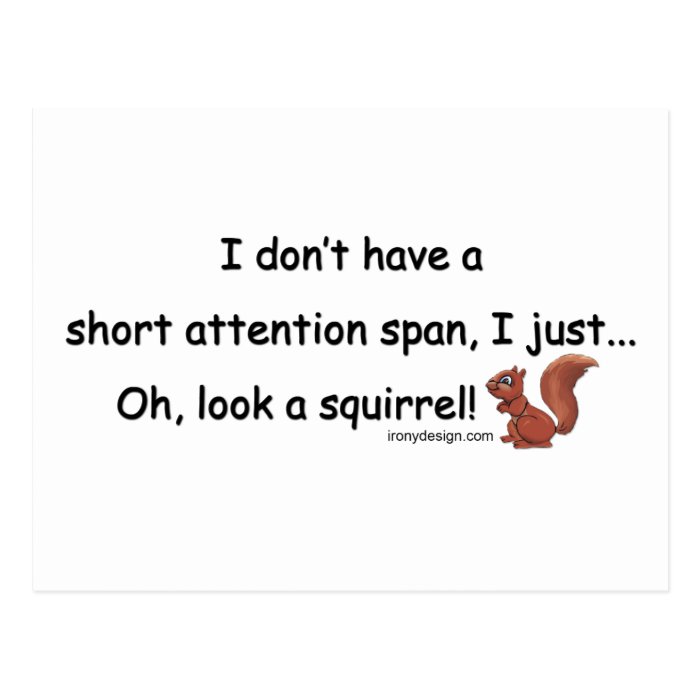 Short Attention Span Squirrel Postcard Zazzle