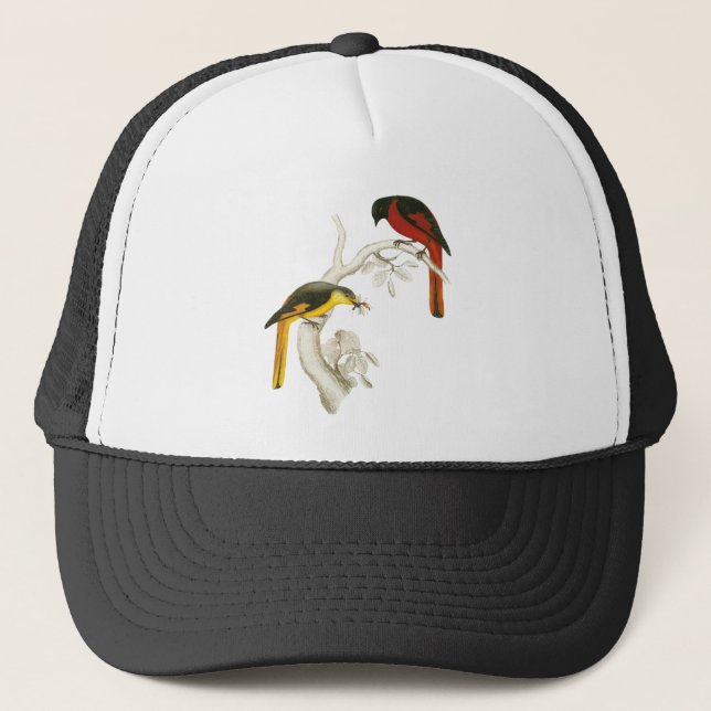 Short-billed Minivet Trucker Hat (Front)