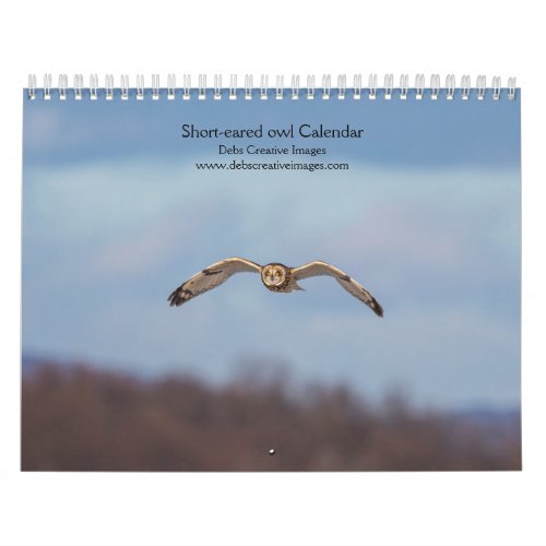 Short_eared owl 2024 calendar