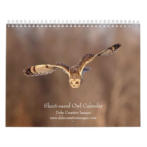 Short_eared Owl 2024 Calendar