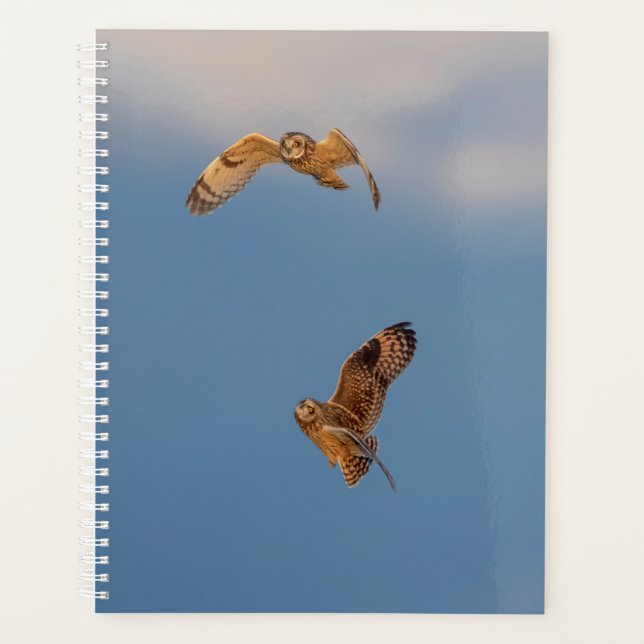 Short-Eared Owl 2026 Planner | Winter Wildlife (Front)