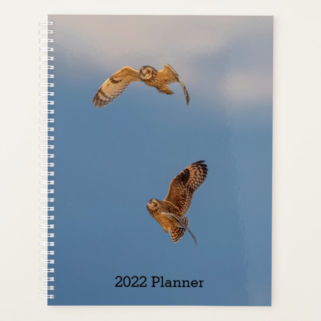 Short-Eared Owl 2026 Planner | Winter Wildlife (Front)