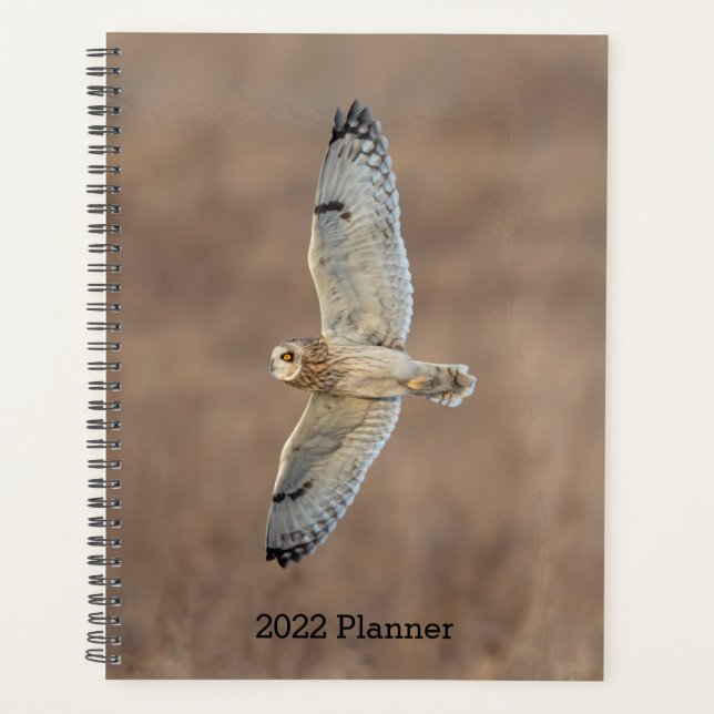 Short-Eared Owl 2026 Planner | Winter Wildlife (Front)