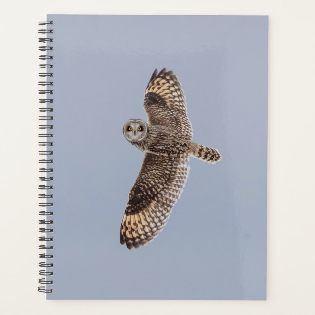 Short-Eared Owl 2026 Planner | Winter Wildlife (Front)