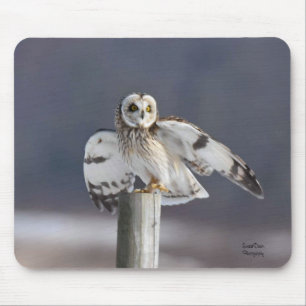 Short-Eared Owl 2 Mouse Pad