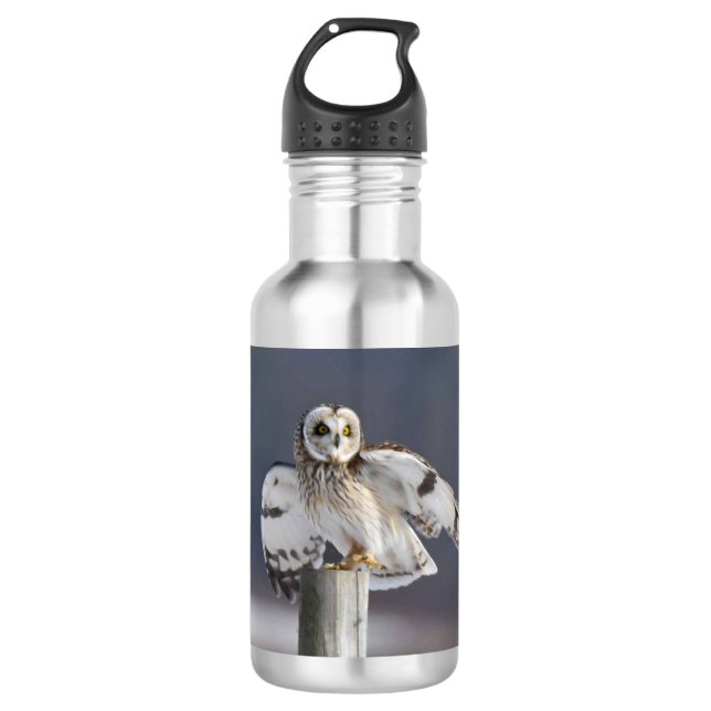 Short-Eared Owl 2 Stainless Steel Water Bottle (Front)