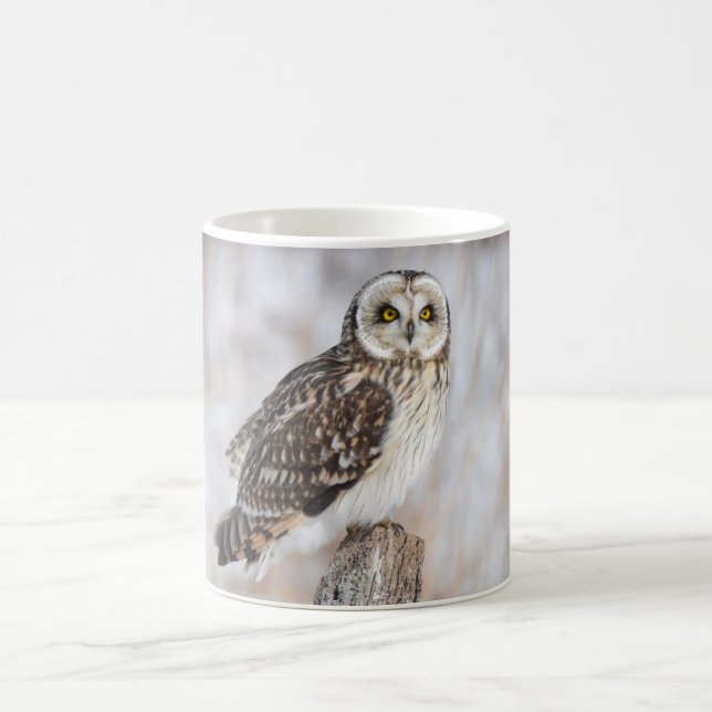 Short-Eared Owl Coffee Mug (Center)