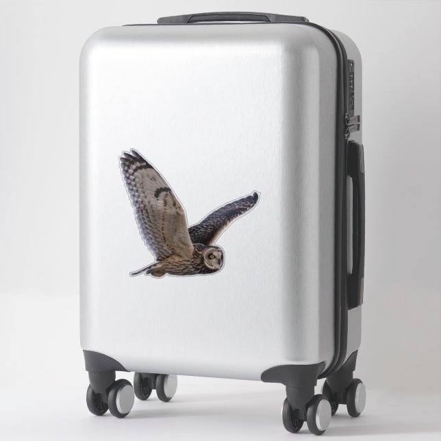 Short Eared Owl Custom-Cut Vinyl Sticker (Suitcase)