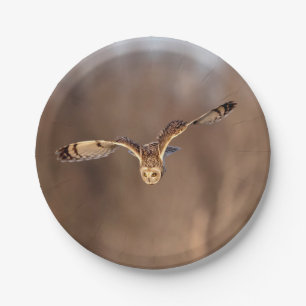 Short-eared owl diving towards the ground paper plates