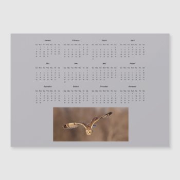 Short-eared Owl Full Year 2024 Calendar by debscreative at Zazzle
