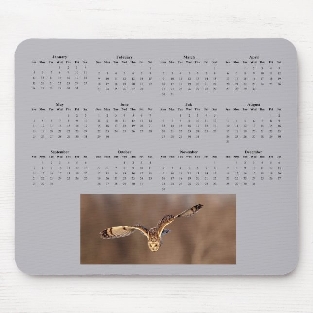 Short-eared owl full year 2025 calendar mouse pad (Front)