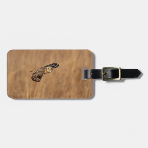 Short_eared owl in flight at the grasslands luggage tag