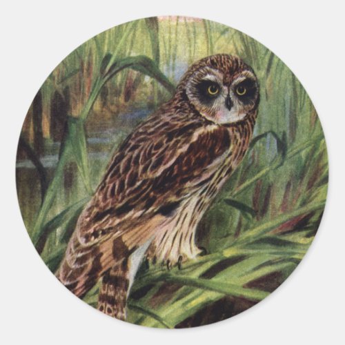 Short_eared Owl in Wetlands Classic Round Sticker