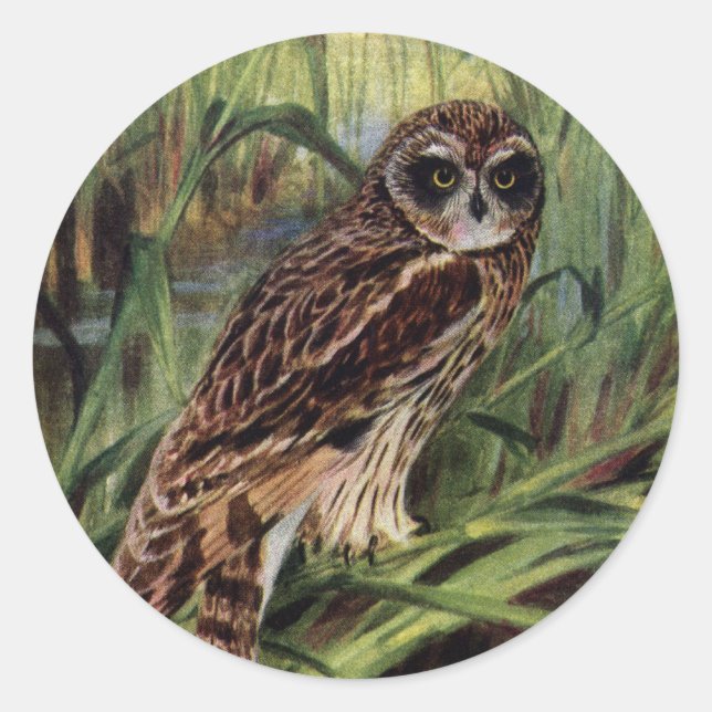 Short-eared Owl in Wetlands Classic Round Sticker (Front)
