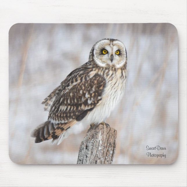 Short-Eared Owl Mouse Pad (Front)