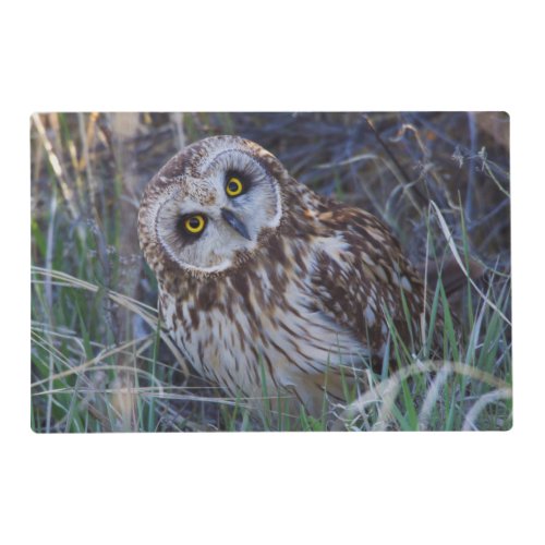 Short_eared Owl Placemat