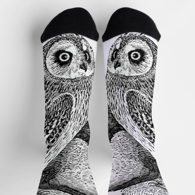 Short-eared owl socks
