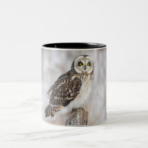 Short-Eared Owl Two-Tone Coffee Mug