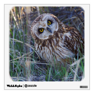 Short-eared Owl Wall Sticker