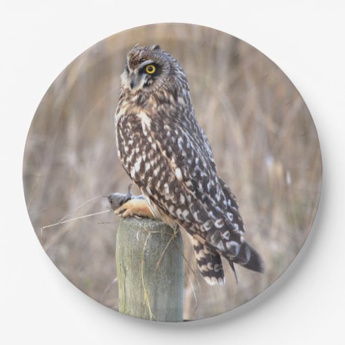 Short_Eared Owl with Vole in the Marshes Paper Plates