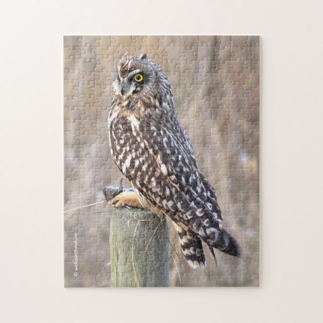 Short-Eared Owl with Vole Jigsaw Puzzle (Vertical)