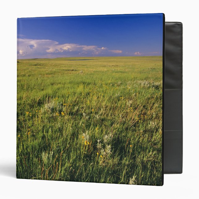Short Grass Prairie in remote northeastern Binder (Front/Inside)
